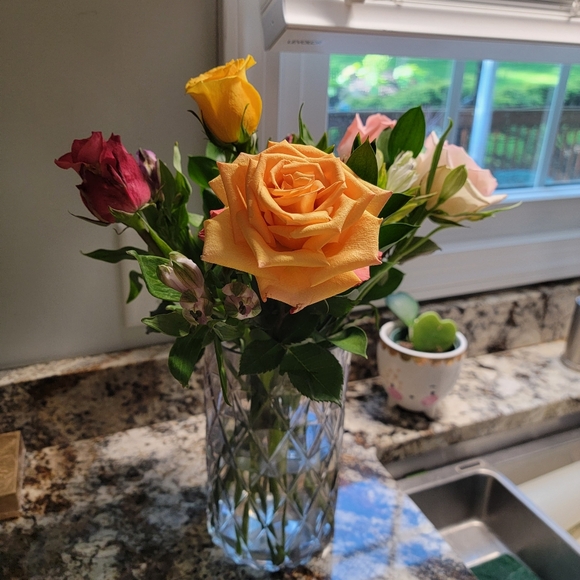 Meet your Posher, Sharon - Picture 4 of 12